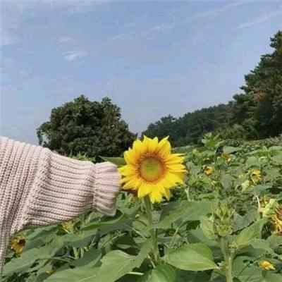 aooni io游戏下载